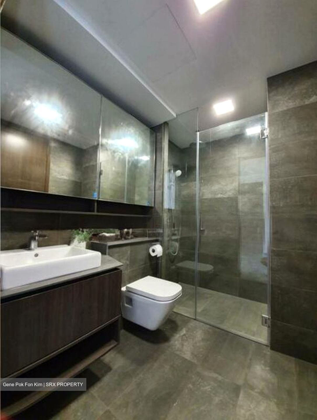 Grandeur Park Residences (D16), Condominium #496830511